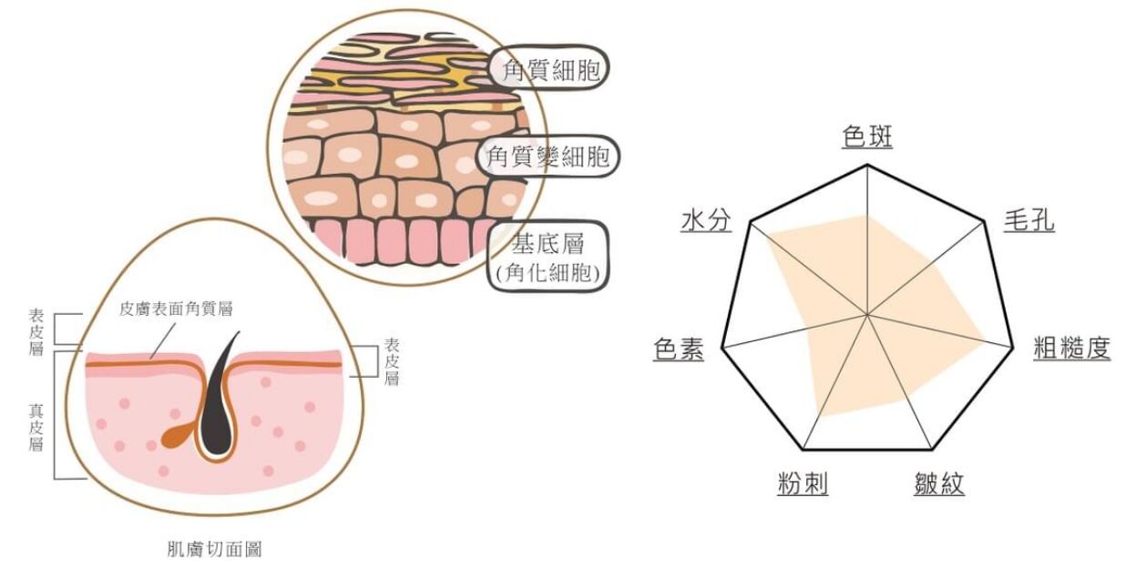 精準分析皮膚狀態